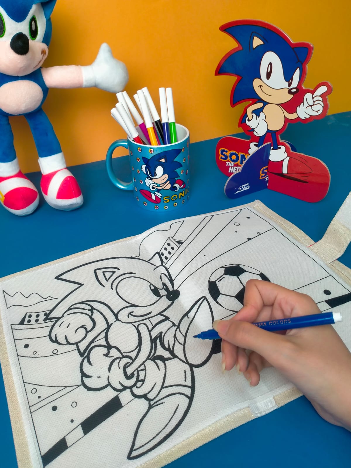 SONIC WASHABLE COLORING BOOK
