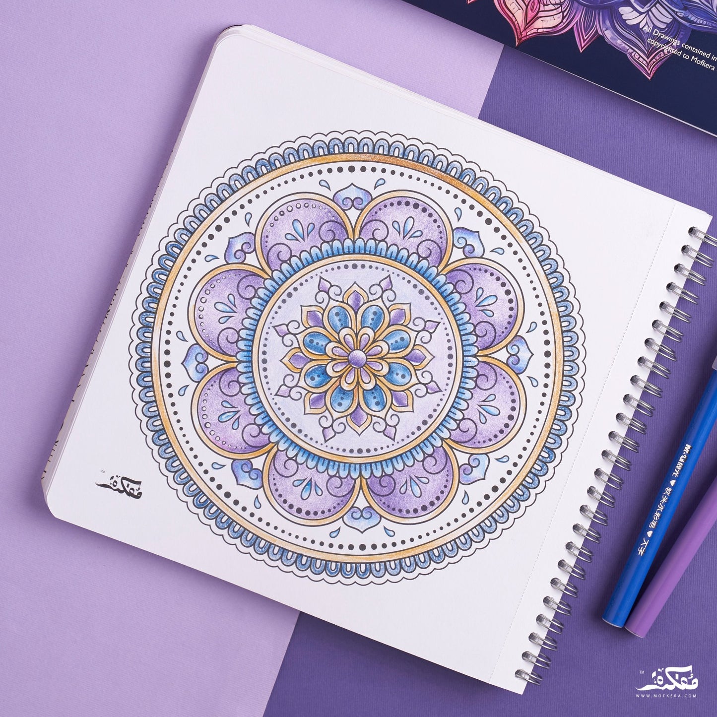 Mandalas _ Coloring Book